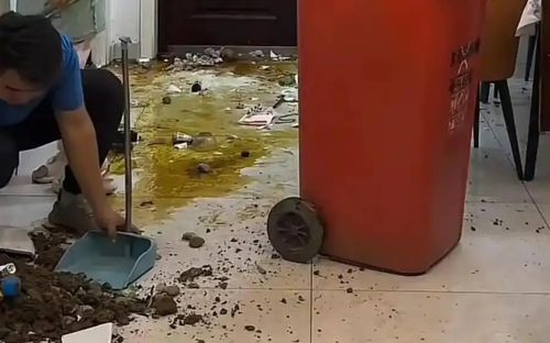 Tái hôn vì con gái, cặp vợ chồng đối diện sự thật đáng buồn sau 3 tháng