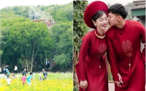 Quê bà xã Hồ Văn Cường vào mùa hoa sở, một góc xứ Nghệ bỗng đẹp nên thơ