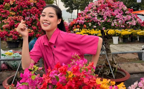 Khánh Vân tranh thủ sắm hoa Tết, được chồng nhiếp ảnh gia hết mực cưng chiều