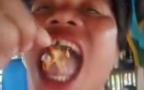 Ăn 'cua quỷ', người phụ nữ 51 tuổi tử vong sau 2 ngày