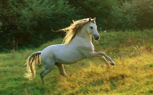 Thời vận xoay chiều: 4 con giáp dễ gặp thời, công việc và tài lộc dần chuyển biến