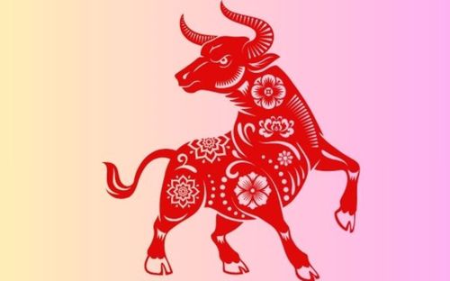 Top 5 con giáp càng về trung niên càng vượng tài