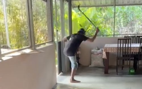 Người đàn ông chiến đấu với con rắn hổ mang chúa, cảnh tượng khiến ai xem cũng 'thót tim'