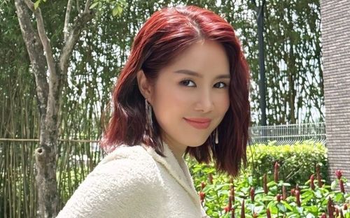 Hình ảnh khác biệt của Lê Phương