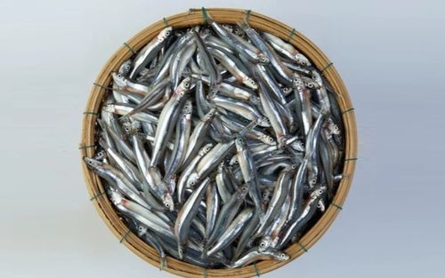 Loại cá ít ngậm thuỷ ngân nhất, là món khoái khẩu trong mâm cơm nhiều gia đình Việt