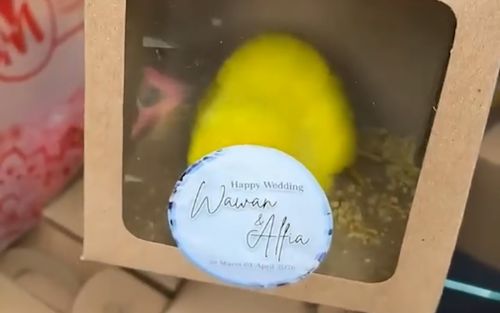 Đi đám cưới, cặp đôi tặng quà cho cô dâu chú rể gây bức xúc