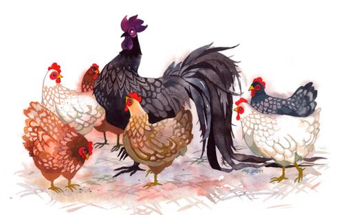 5 con giáp có cuộc đời hai nửa rõ rệt: Nửa đầu vất vả, nửa sau khiến ai cũng bất ngờ