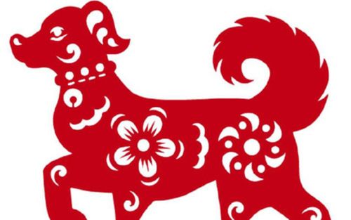 3 con giáp sống quá tình cảm, luôn đặt người khác lên trước nên dễ thiệt thòi mà không nhận ra