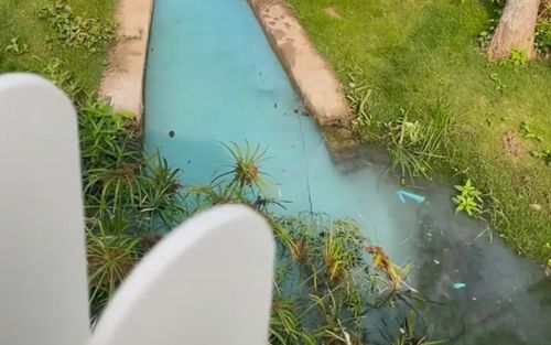 Hồ nước trong công viên bỗng đổi màu xanh bất thường, sự thật phía sau khiến người dân bức xúc