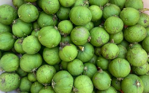 Từng là món ăn tuổi thơ, nay loại quả này xuất hiện trong nhiều nhà hàng