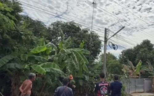 Đi bắt chim bồ câu, 2 người gặp tai nạn thương tâm