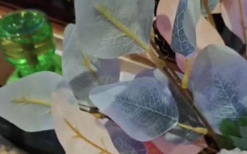 Ở khách sạn 5 ngày, người phụ nữ chết lặng khi phát hiện thứ giấu trong bình hoa