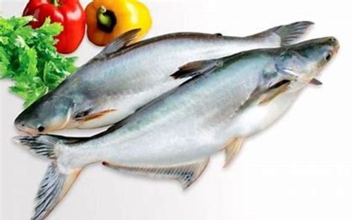 Những loại cá dễ bị nhầm với nhau, nhất là loại số 1