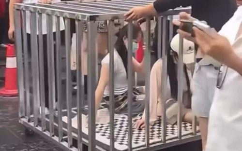 2 cô gái bị nhốt lồng heo diễu hành trên đường vì ngoại tình, sự thật gây phẫn nộ
