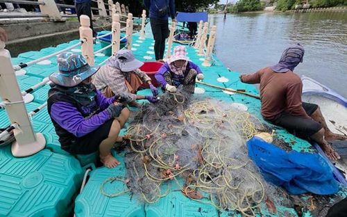 Một loài cá xuất hiện dày đặc, chính quyền ra sức tiêu diệt
