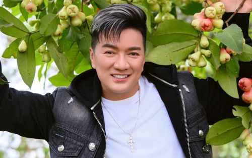 Đàm Vĩnh Hưng công khai cầu hôn 'người đặc biệt'
