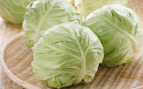 Điều gì xảy ra với sức khỏe khi ăn bắp cải thường xuyên?