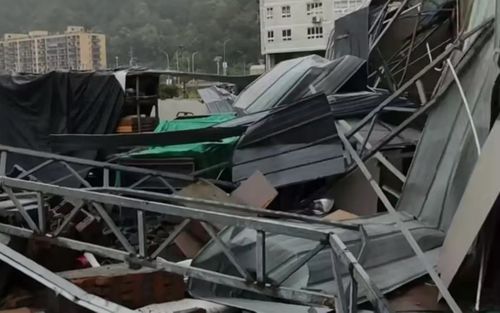 Nhà máy gỗ tan hoang sau bão, người đàn ông 49 tuổi đau đớn nhìn 15 năm thành quả