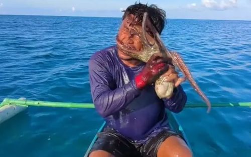 Vừa kéo loài sinh vật lên khỏi mặt nước, ngư dân gặp sự cố không ai ngờ tới