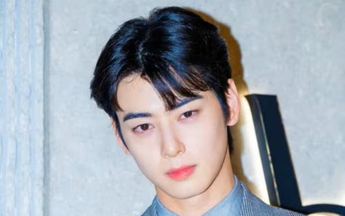 Cha Eun Woo nộp đơn kháng cáo thuế