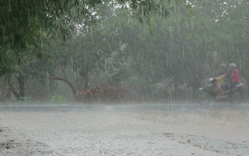 Mưa lớn kéo dài 3 ngày sẽ xuất hiện ở những tỉnh, thành nào?
