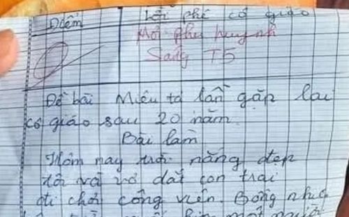 Tưởng tượng tình huống gặp lại cô giáo sau 20 năm, nam sinh viết bài văn khiến cô nổi giận đùng đùng