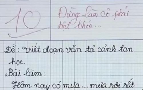 Bài văn được chấm điểm tối đa, nội dung có gì mà giáo viên phải viết 'đừng làm cô phải khóc'