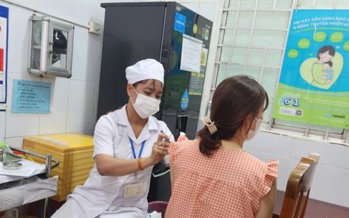 6 người ở Vĩnh Long tử vong do chó cắn, phát hiện 4 ổ dịch dại