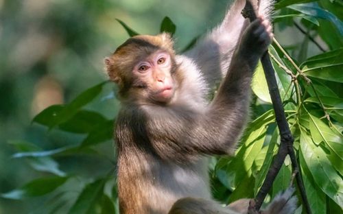 3 con giáp sắp bước vào chuỗi ngày 'làm gì cũng có người hỗ trợ'