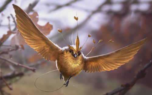 Chim Snidget - biểu tượng của trò Quidditch trong Harry Potter