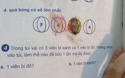 Bài toán 'xác suất thống kê' lớp 1 khiến nhiều phụ huynh đau đầu suy nghĩ