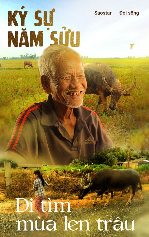 Ký sự năm Sửu: Đi tìm mùa len trâu