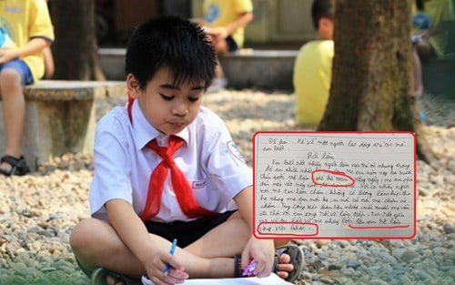 Làm văn kể về công việc của mẹ, cậu bé tiểu học khiến dân mạng ngã ngửa vì câu chốt cuối bài