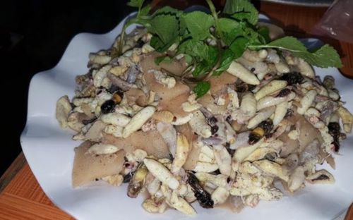Bố mẹ người yêu mời ăn côn trùng, cô gái đùng đùng đòi chia tay