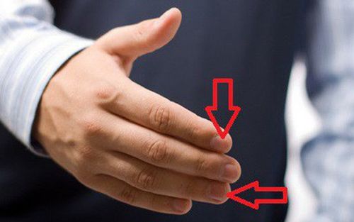 Nhìn ngón tay trỏ 3 giây, đoán ra ngay kích thước 'cậu nhỏ' và khả năng 'giường chiếu' của cánh mày râu