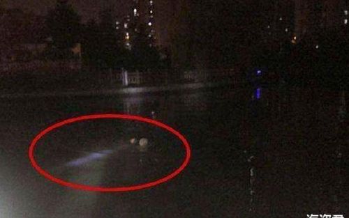 Đi câu đêm vô tình thấy 'vật thể lạ' trôi nổi, 2 thanh niên 'rụng rời chân tay' trước sự thật