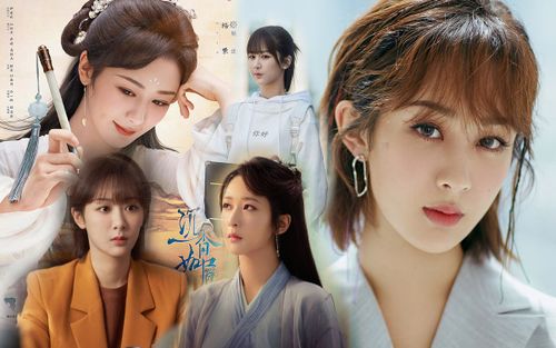 Bạo lớn với phim chính kịch nhưng Dương Tử lại chọn theo đường lưu lượng, có phải quyết định đúng đắn?