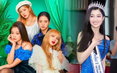 Á hậu Phương Nhi là 'fan cứng' BlackPink: Biểu cảm dễ thương khi bị phát hiện đang xem MV idol