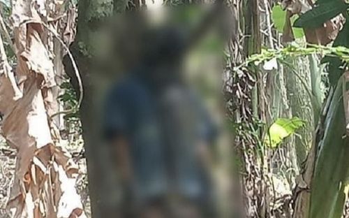 Đi hái lá chuối trên đồi, người dân phát hiện cảnh tượng 'ớn lạnh'