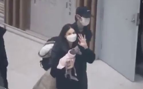 Chỉ một hành động nhỏ, Song Joong Ki đã chứng minh yêu chiều 'nóc nhà mới' đến nhường nào