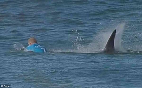 Nhà vô địch thế giới môn lướt ván 'đánh tay đôi' với cá mập