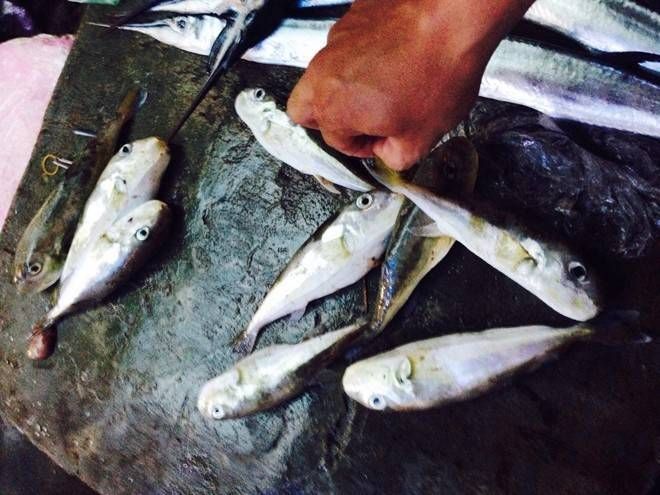 Chợ cá 'tử thần' bên phá Tam Giang