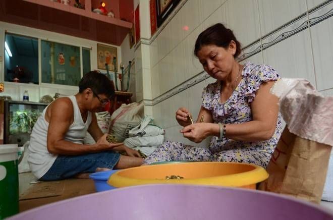 Nuôi con cho người dưng đi tù