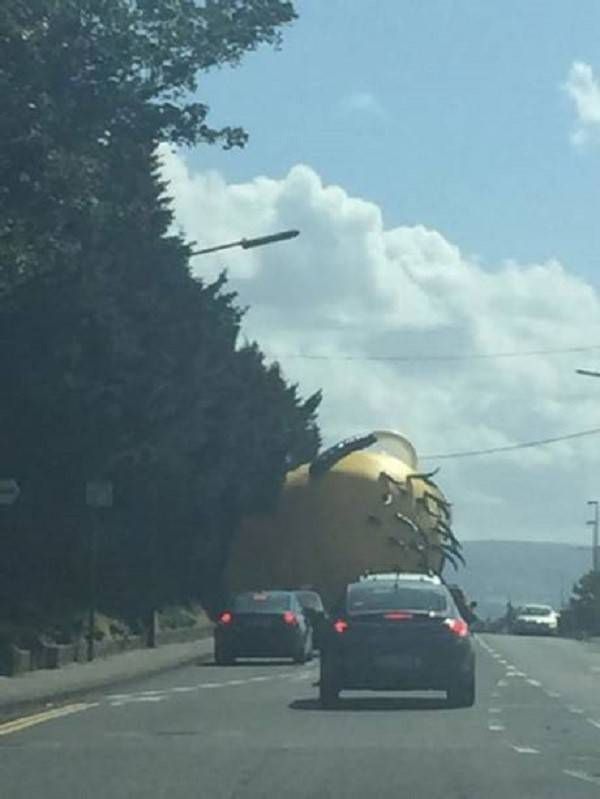 Minion khổng lồ 'khủng bố' các lái xe ở Ireland