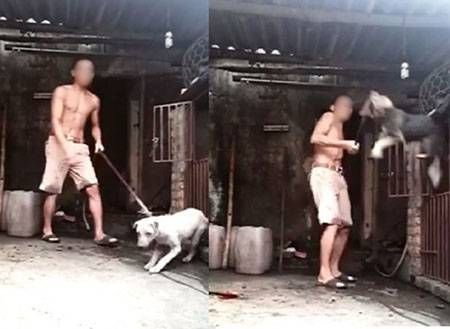 Chủ quán thịt chó: 'Quang có cậu con trai 4 tuổi hiện đang ở miền Nam'