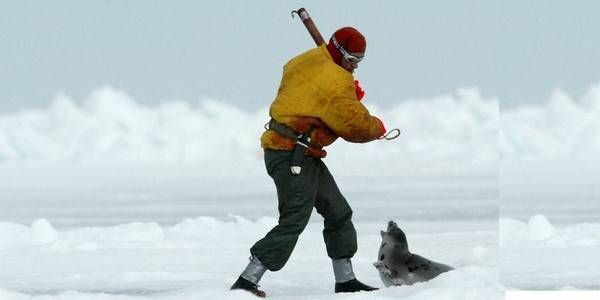 11 công việc chẳng ai muốn làm trên thế giới