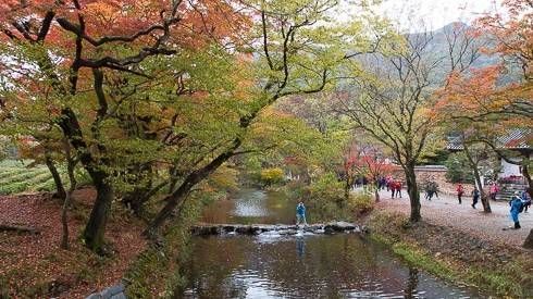 Mùa thu tam sắc đẹp như tranh vẽ ở chùa cổ Seonunsa, Hàn Quốc