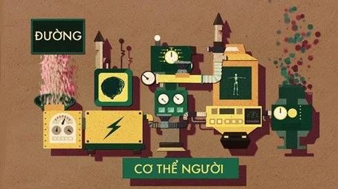 Đường tác động đến não bộ như thế nào?