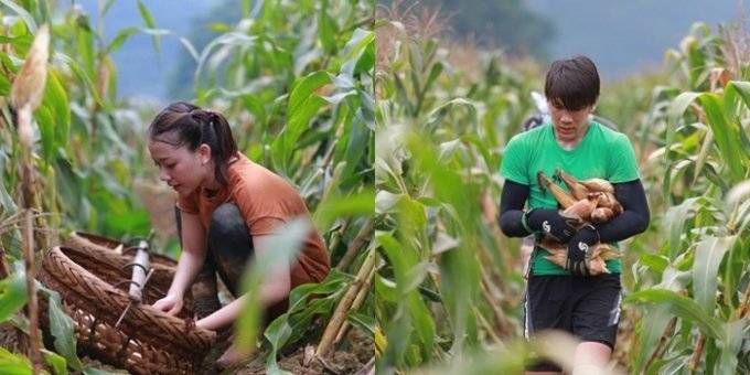 Đặt lên bàn cân top 3 'Cuộc đua kỳ thú 2015'