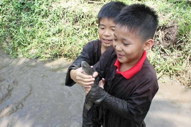 Bắt cá, vắt sữa bò phải trả phí ở TP HCM